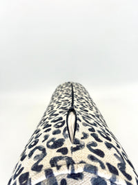 Bolster in Blue Leopard in Natural - Includes Insert